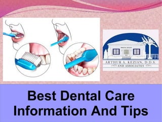 Best Dental Care 
Information And Tips 
 