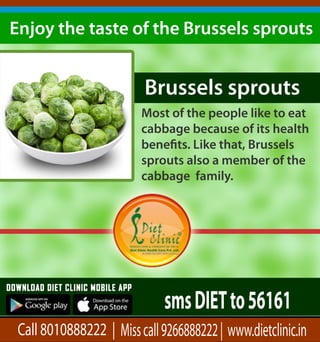 Brusselssprouts
EnjoythetasteoftheBrusselssprouts
Mostofthepeopleliketoeat
cabbagebecauseofitshealth
beneﬁts.Likethat,Brussels
sproutsalsoamemberofthe
cabbagefamily.
Call8010888222|Misscall9266888222|www.dietclinic.in
smsDIETto56161
 
