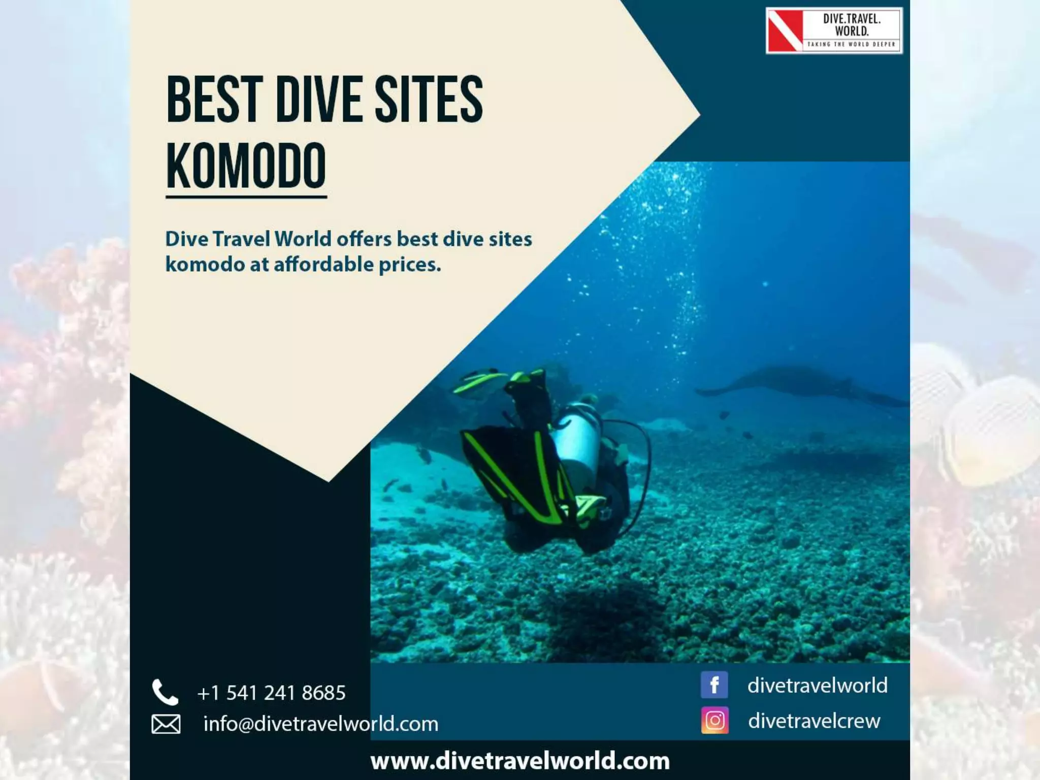 Best dive sites komodo