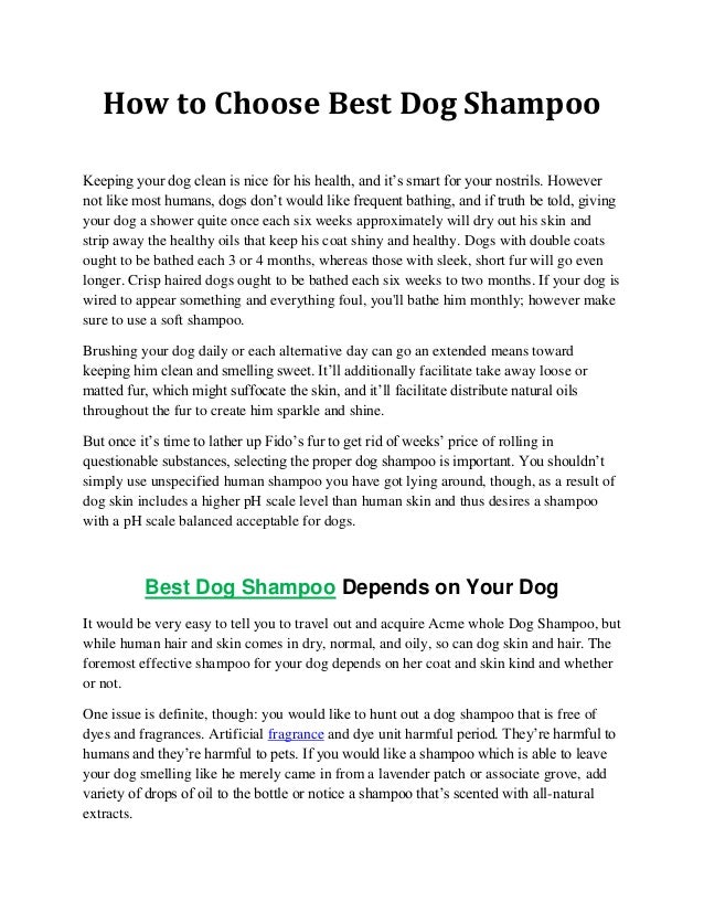 How to Choose Best Dog Shampoo