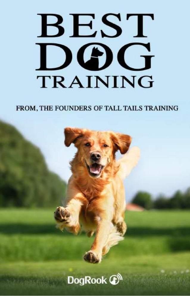 Best dog training_ebook