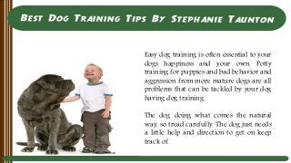 Easy dog training is often essential to your
dogs happiness and your own. Potty
training for puppies and bad behavior and
aggression from more mature dogs are all
problems that can be tackled by your dog
having dog training.
The dog doing what comes the natural
way, so tread carefully. The dog just needs
a little help and direction to get on keep
track of.
 