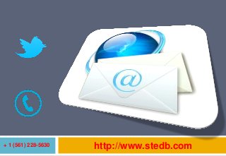 + 1 (561) 228-5630 http://www.stedb.com