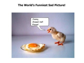 The Worlds Funniest Sad Picture! 