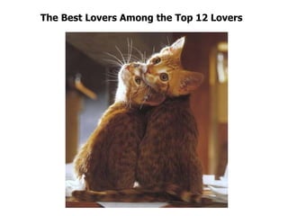 The Best Lovers Among the Top 12 Lovers  