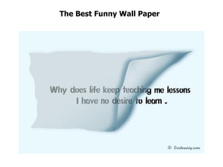 The Best Funny Wall Paper  