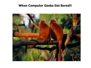 When Computer Geeks Get Bored!! 