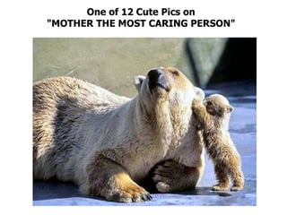 One of 12 Cute Pics on  "MOTHER THE MOST CARING PERSON"  