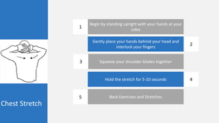 Chest Stretch
Begin by standing upright with your hands at your
sides
Gently place your hands behind your head and
interlock your fingers
Squeeze your shoulder blades together
Hold the stretch for 5-10 seconds
Back Exercises and Stretches
1
2
3
4
5
 