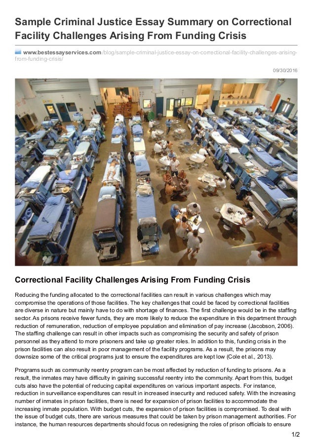 Types of corrections in criminal justice image