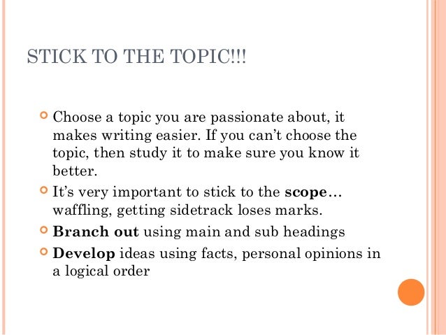 Best essay writing service