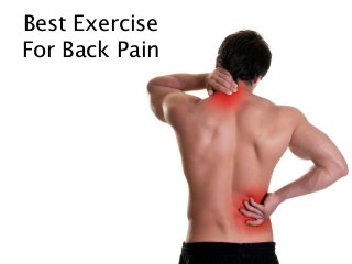 Best Exercise
For Back Pain

 