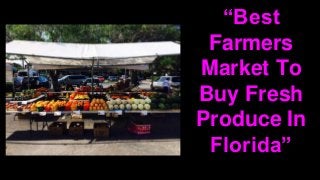 “Best
Farmers
Market To
Buy Fresh
Produce In
Florida”
 