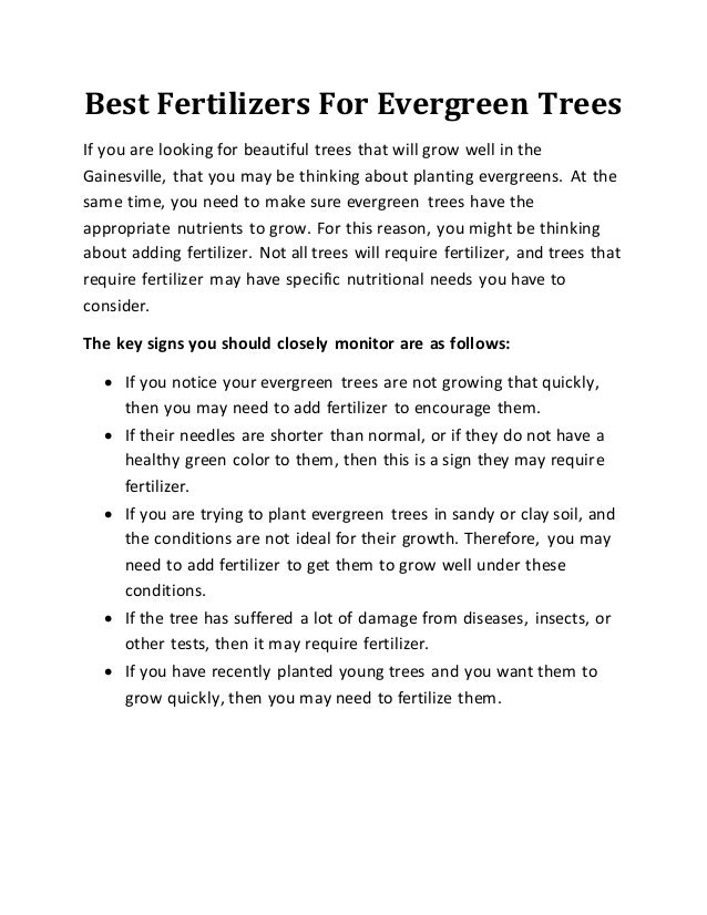 Best fertilizers for evergreen trees