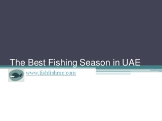 The Best Fishing Season in UAE
www.fishfishme.com

 
