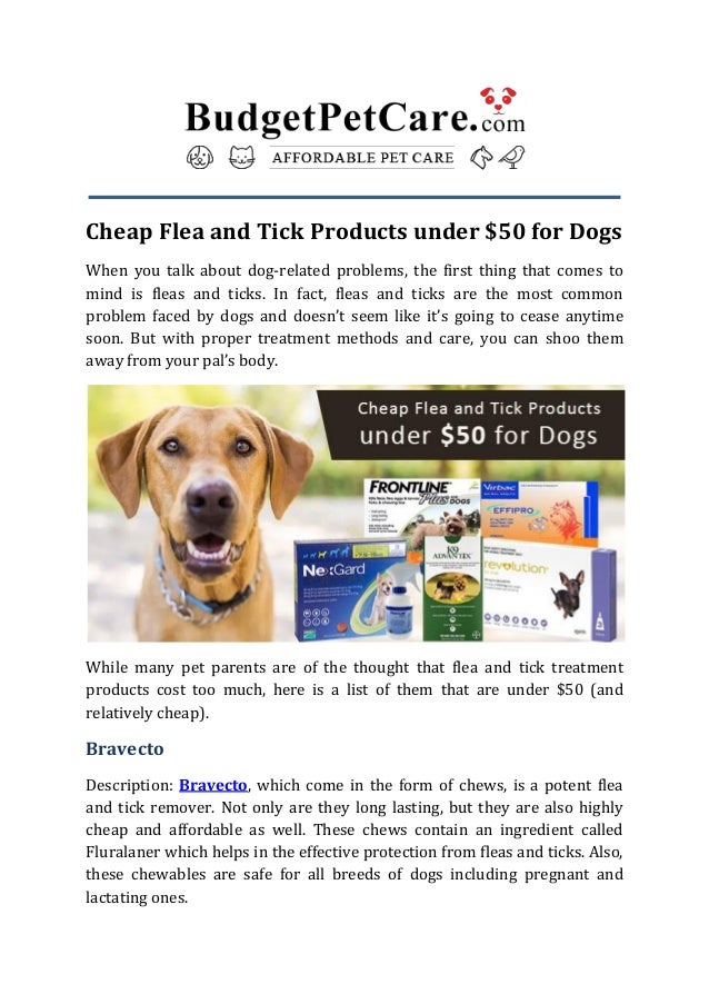 flea treatment safe for pregnant dogs