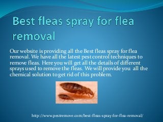 Our website is providing all the Best fleas spray for flea
removal. We have all the latest pest control techniques to
remove fleas. Here you will get all the details of different
sprays used to remove the fleas. We will provide you all the
chemical solution to get rid of this problem.
http://www.pestremove.com/best-fleas-spray-for-flea-removal/
 