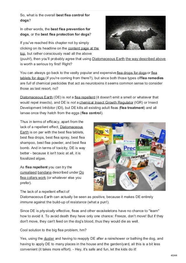 Fleas All About Flea Prevention Flea Treatment Flea Control From