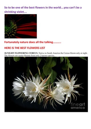 So to be one of the best flowers in the world….you can’t be a
shrinking violet….

Fortunately nature does all the talking………..
HERE IS THE BEST FLOWERS LIST
10.NIGHT FLOWERING CEREUS- Native to South America the Cereus bloom only at night.
The flowers are cactus blooms from only 2 known species.

 