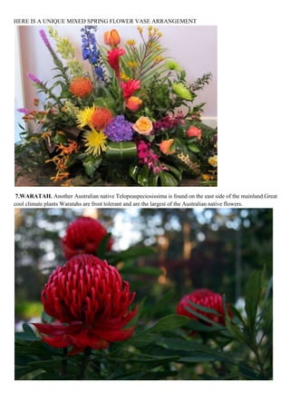 HERE IS A UNIQUE MIXED SPRING FLOWER VASE ARRANGEMENT

7.WARATAH. Another Australian native Telopeaspeciosissima is found on the east side of the mainland.Great
cool climate plants Waratahs are frost tolerant and are the largest of the Australian native flowers.

 