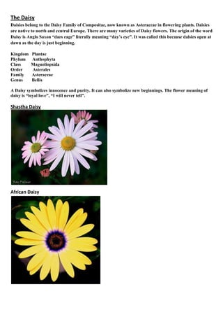 The Daisy
Daisies belong to the Daisy Family of Compositae, now known as Asteraceae in flowering plants. Daisies
are native to north and central Europe. There are many varieties of Daisy flowers. The origin of the word
Daisy is Anglo Saxon “daes eage” literally meaning “day’s eye”. It was called this because daisies open at
dawn as the day is just beginning.
Kingdom
Phylum
Class
Order
Family
Genus

Plantae
Anthophyta
Magnoliopsida
Asterales
Asteraceae
Bellis

A Daisy symbolizes innocence and purity. It can also symbolize new beginnings. The flower meaning of
daisy is “loyal love”, “I will never tell”.

Shastha Daisy

African Daisy

 