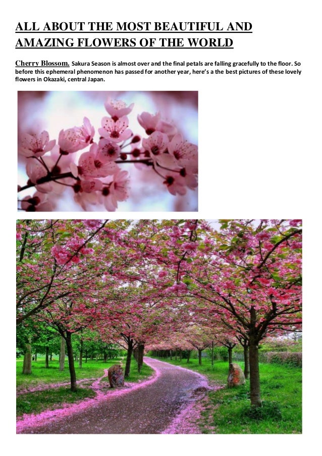 best flowers in the