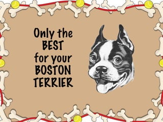 Only the
  BEST
for your
BOSTON
TERRIER
 