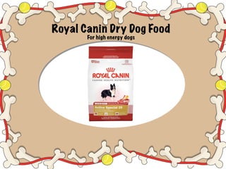 royal canin boston terrier