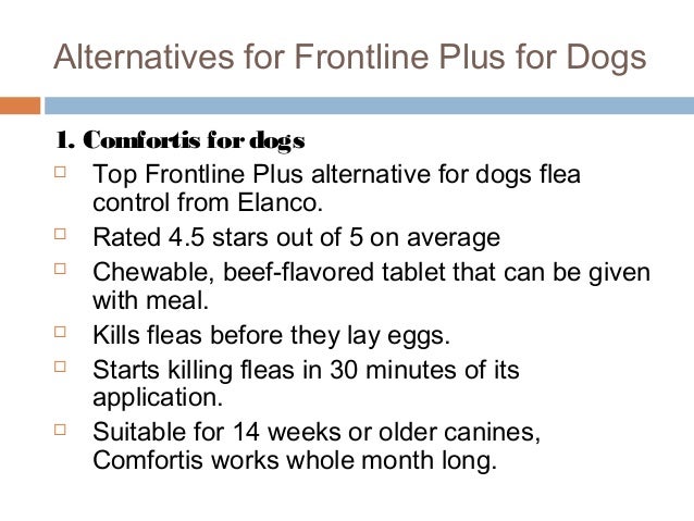 best alternative to frontline plus