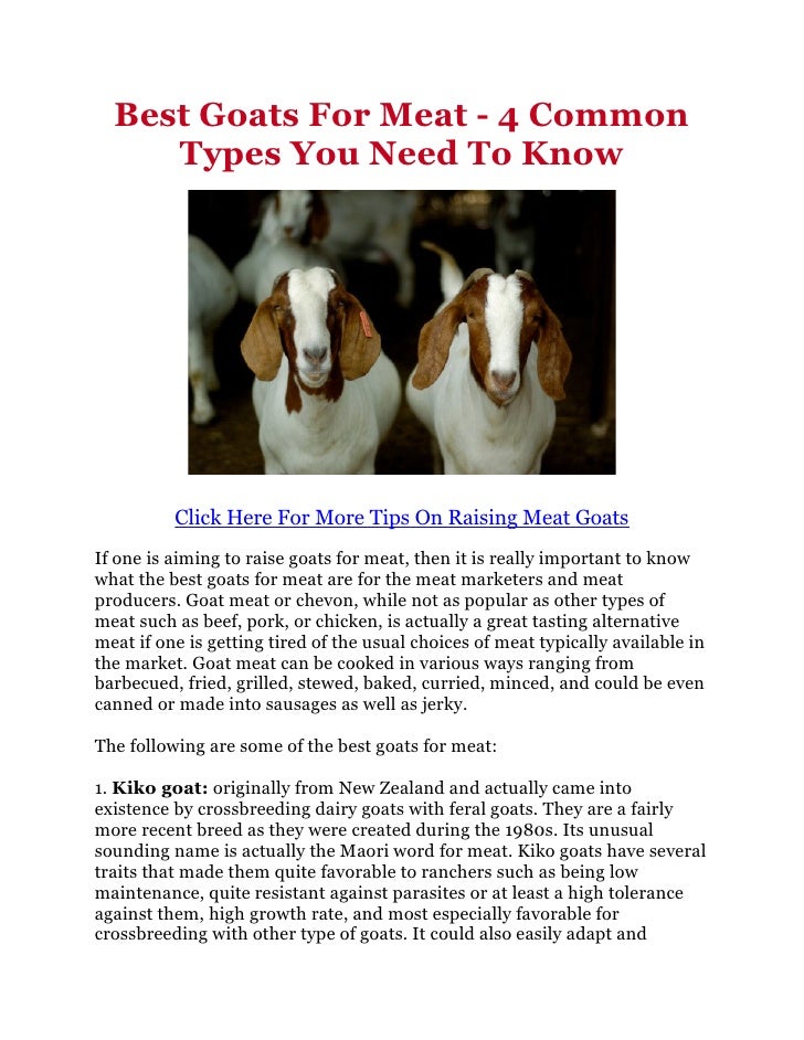 Best Goats For Meat 4 Common Types You Need To Know