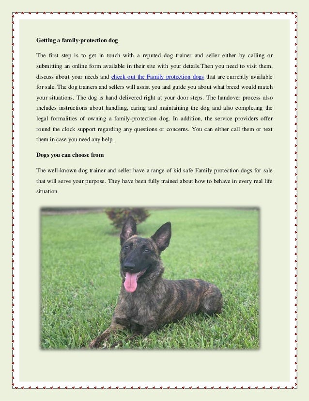 fully trained guard dogs for sale