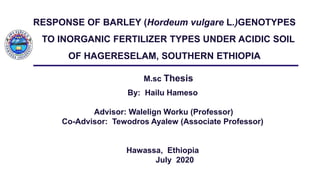 RESPONSE OF BARLEY (Hordeum vulgare L.)GENOTYPES
TO INORGANIC FERTILIZER TYPES UNDER ACIDIC SOIL
OF HAGERESELAM, SOUTHERN ETHIOPIA
11:42:00 AM 1
M.sc Thesis
By: Hailu Hameso
Advisor: Walelign Worku (Professor)
Co-Advisor: Tewodros Ayalew (Associate Professor)
Hawassa, Ethiopia
July 2020
 