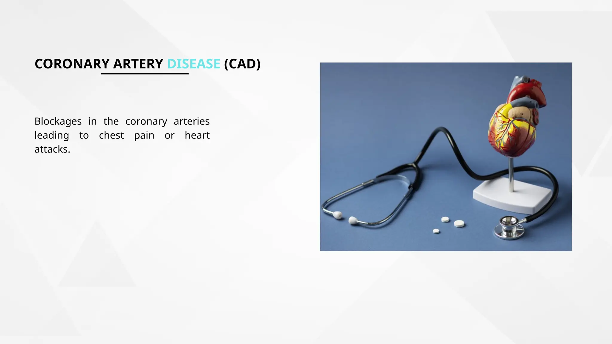 Renowned Heart Specialist in Patiala for Top Care PPT