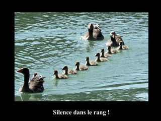 Silence dans le rang ! 