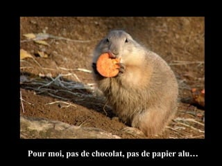 Pour moi, pas de chocolat, pas de papier alu… 