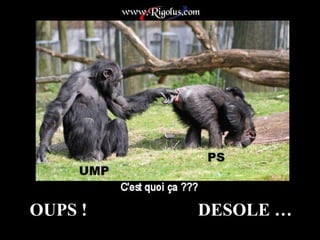OUPS !  DESOLE … 