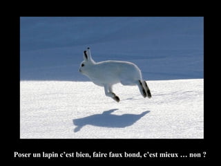 Poser un lapin c’est bien, faire faux bond, c’est mieux … non ? 