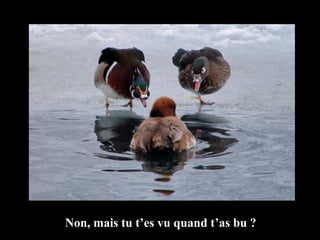 Non, mais tu t’es vu quand t’as bu ? 