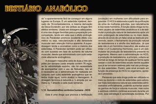 do” e aparentemente fácil de conseguir em alguns
lugares na Europa. É um esteróide injetável, deri-
vado da 19-nortestosterona, a mesma derivação
da Deca-Durabolin; por isto ambas as drogas têm
efeitos similares. Usado em dosagens adequadas,
é uma das drogas favoritas para a preparação pré-
competição, tendo em vista que o efeito androgê-
nico do Parabolan promove excelente efeito cos-
mético ou seja, vascularização e alta densidade
muscular sem retenção hídrica aparente. A super-
dosagem tende a aromatizar como a maioria dos
esteróides. O Parabolan também pode ser utiliza-
do com sucesso em fase de aumento de volume
muscular, desde que administrado com outro este-
róide altamente androgênico.
A dosagem masculina varia de duas a três am-
polas por semana (cada ampola contém 76 mg)e,
se for administrado sozinho, não há necessidade
de acompanhar com o uso de Nolvadex. Isto só
é necessário se a administração for realizada em
conjunto com outro esteróide androgênico que re-
tenha muita água, como Anabol e Hemogenin. A
dosagem feminina é reduzida a ½ ampola por se-
mana ou 1 ampola a cada duas semanas.
1.12. Gonadotroﬁna coriônica humana - HCG
Esta é uma droga que provoca a fertilização
(ovulação) em mulheres com diﬁculdade para en-
gravidar. O HCG é elaborada a partir da puriﬁcação
da urina de mulheres grávidas, que naturalmente
é rica neste hormônio. A função desta droga no ho-
mem usuário de esteróides anabólicos é a de esti-
mular a produção natural de testosterona após um
ciclo prolongado de esteróides ou no meio deste,
através do envio de um falso sinal ao testículo pre-
venindo, assim, o fechamento da produção natural
de testosterona e a atroﬁa dos testículos. Já que
este não é um hormônio masculino, ele acaba por
imitar o LH (Luteinizing Hormone), que é um esti-
mulador da produção de testosterona presente no
organismo. Mesmo sem a administração do HCG,
a produção de testosterona, a princípio, voltaria ao
normal ao longo do tempo de qualquer forma após
cessar o ciclo de esteróides exceto dentre aqueles
que já se tornaram estéreis pelo mal uso prolonga-
do dos esteróides. Porém, este sinal enviado em
função da presença do HCG no organismo, apres-
sa o processo.
Pensa-se que esta droga pode ser utilizada no
meio ou durante o ciclo de esteróides para adicio-
nar mais testosterona natural aos esteróides admi-
nistrados artiﬁcialmente, podendo aumentar assim
os ganhos de força e volume muscular, mas como
o estímulo inibitório continua acionado durante um
ciclo, esta estratégia é considerada duvidosa. Por
 