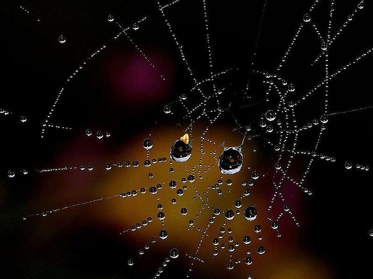 best pictures high resolution