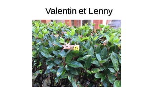Valentin et Lenny
Valentin et Lenny
 