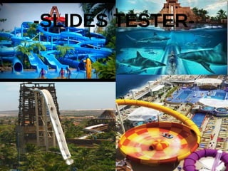 Best job: Slide tester | PDF