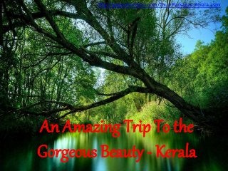 An Amazing Trip To the
Gorgeous Beauty - Kerala
http://gogeoholidays.com/Tour-Packages-Kerala.aspx
 