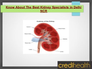 Know About The Best Kidney Specialists in Delhi
NCR

 