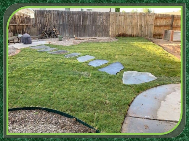 Best Landscape Design Albuquerque