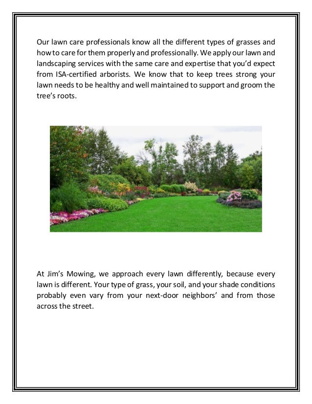 best lawn maintenance