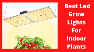 Best Led
Grow
Lights
For
Indoor
Plants
 