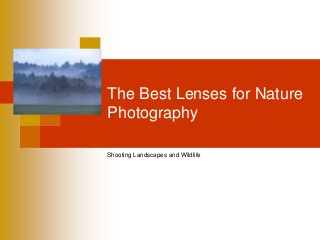 The Best Lenses for Nature
Photography

Shooting Landscapes and Wildlife
 