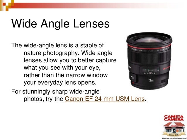 Best Lenses For Nature Photography