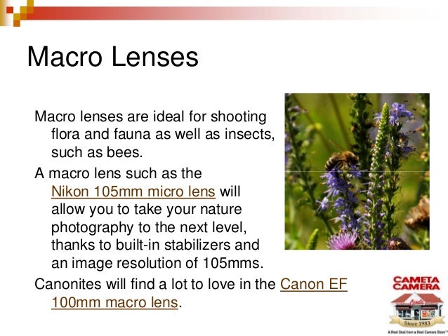 Best Lenses For Nature Photography